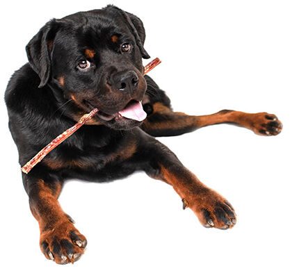 Best Bully Sticks Collagen Sticks and Shaped Chews.jpg